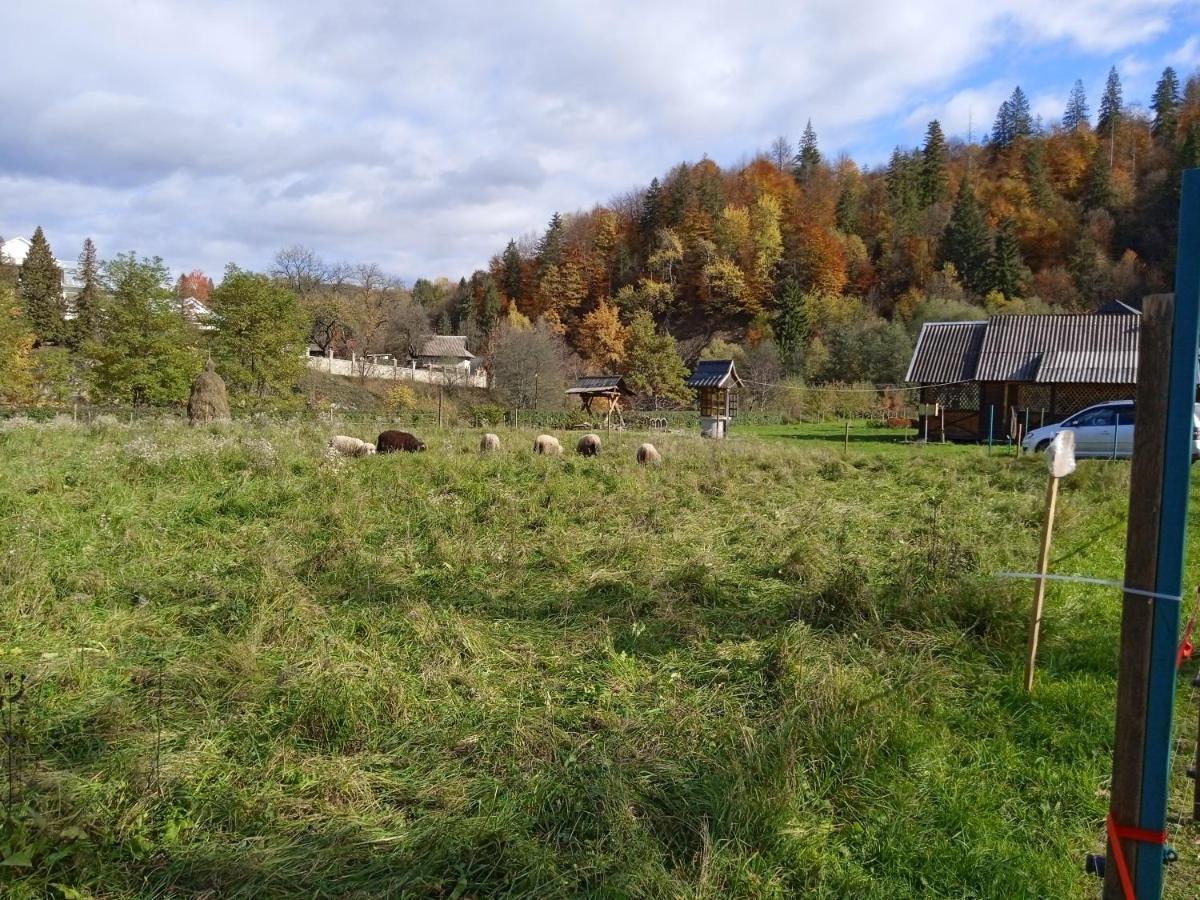 Садиба Федорчуків Гірська Хатина Sesori Kültér fotó
