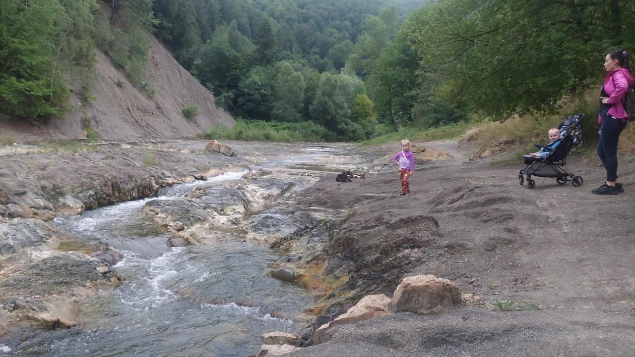 Садиба Федорчуків Гірська Хатина Sesori Kültér fotó